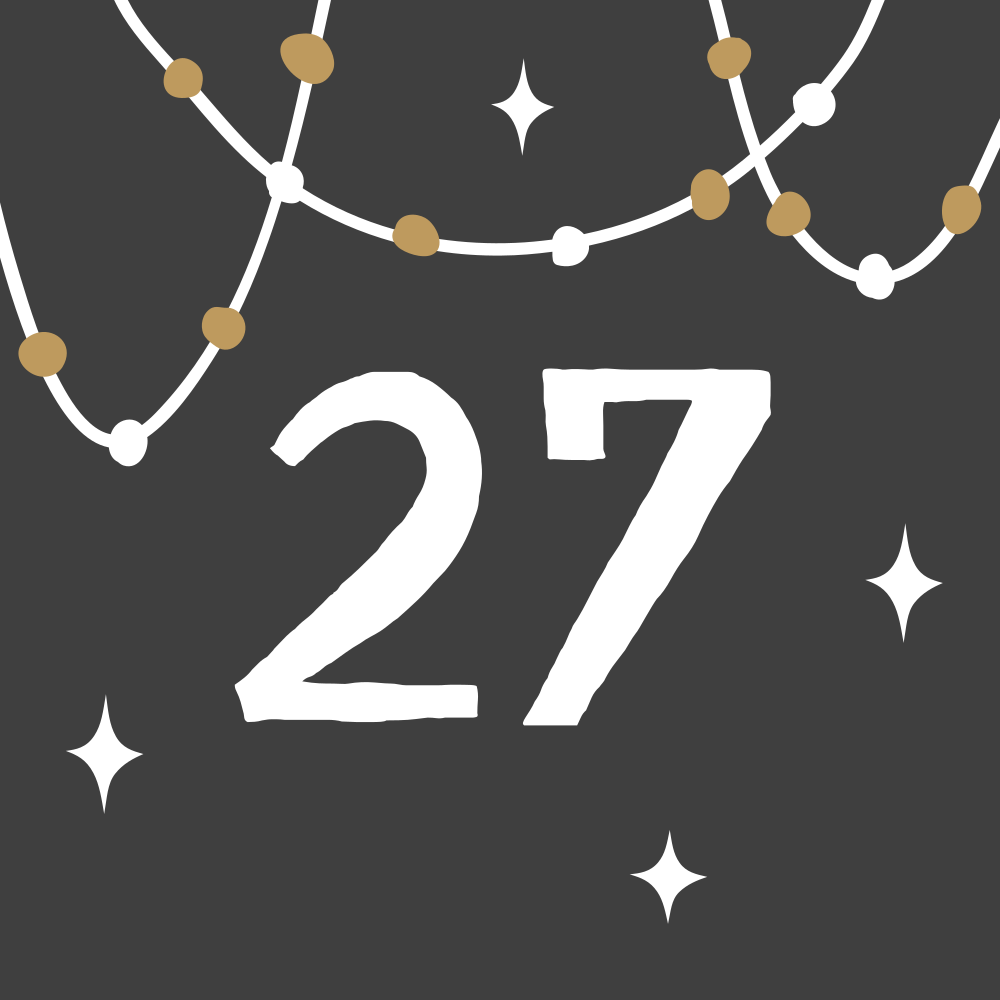 Day 27 - Koigu Festive Packs