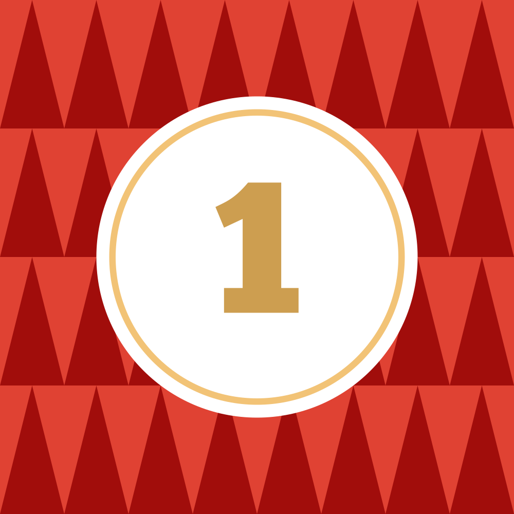 Day 1 - WYS Chrismas Socks!