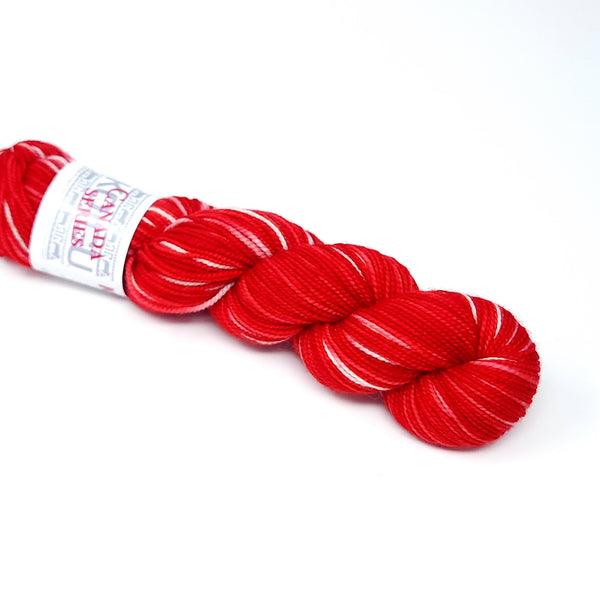 Koigu KPPPM
