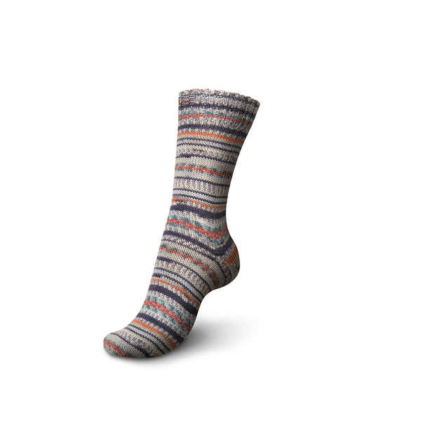 Regia 6-Ply