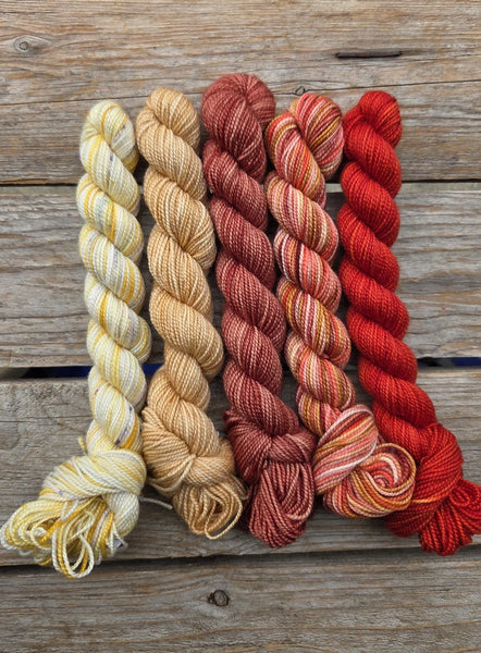 Koigu Paint Cans