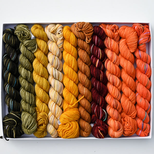 Koigu Pencil Boxes