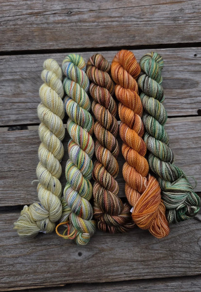 Koigu Paint Cans