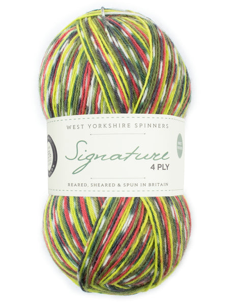 West Yorkshire Spinners Signature 4-Ply Patterns